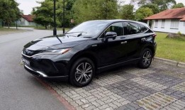 国产cdts,引领科技潮流的创新力量