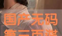 国产三页,创新驱动，引领未来科技发展