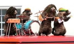 大香蕉国产片,国产影视的激情演绎与时代印记