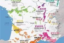 法国产区,探寻法国葡萄酒的瑰宝之地
