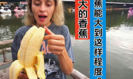 国产视频大香蕉,揭秘国内影视产业的魅力与挑战