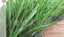 国产人人草,人人草，绿色健康生活新选择