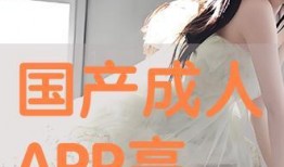 国产区成人,探索多元文化下的成人娱乐产业