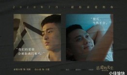 国产同性,情感与现实的交织