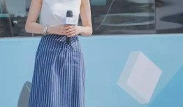 国产熟女人在线,揭秘国内成人娱乐产业的现状与挑战