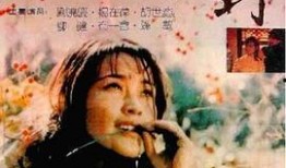 国产对白乱,对白之乱，笑料横生